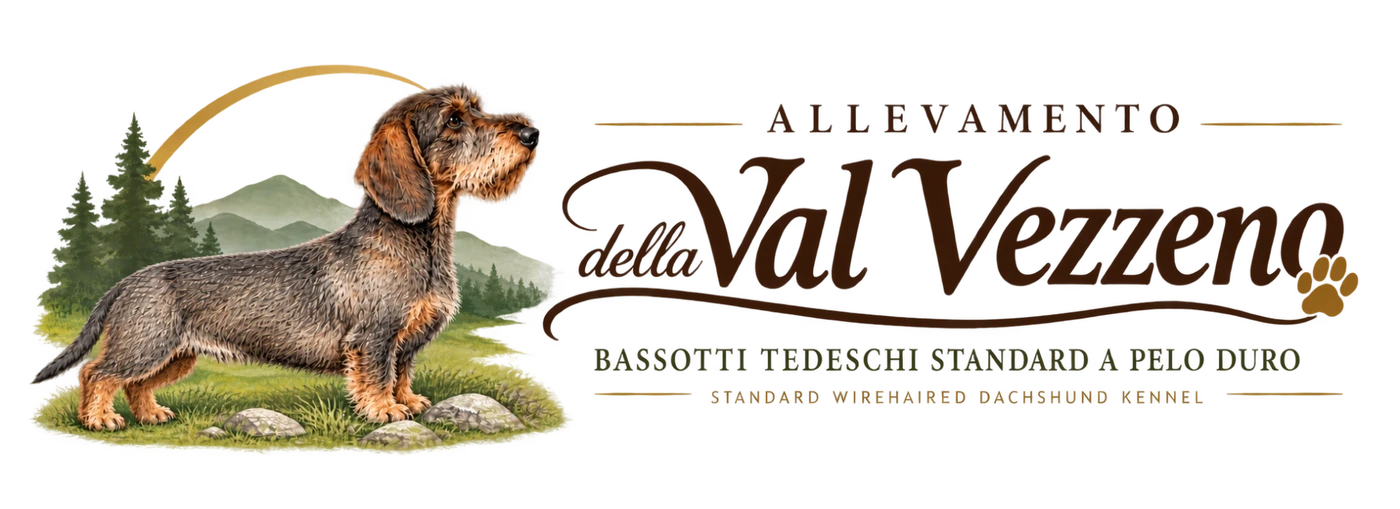 Allevamento della Val Vezzeno